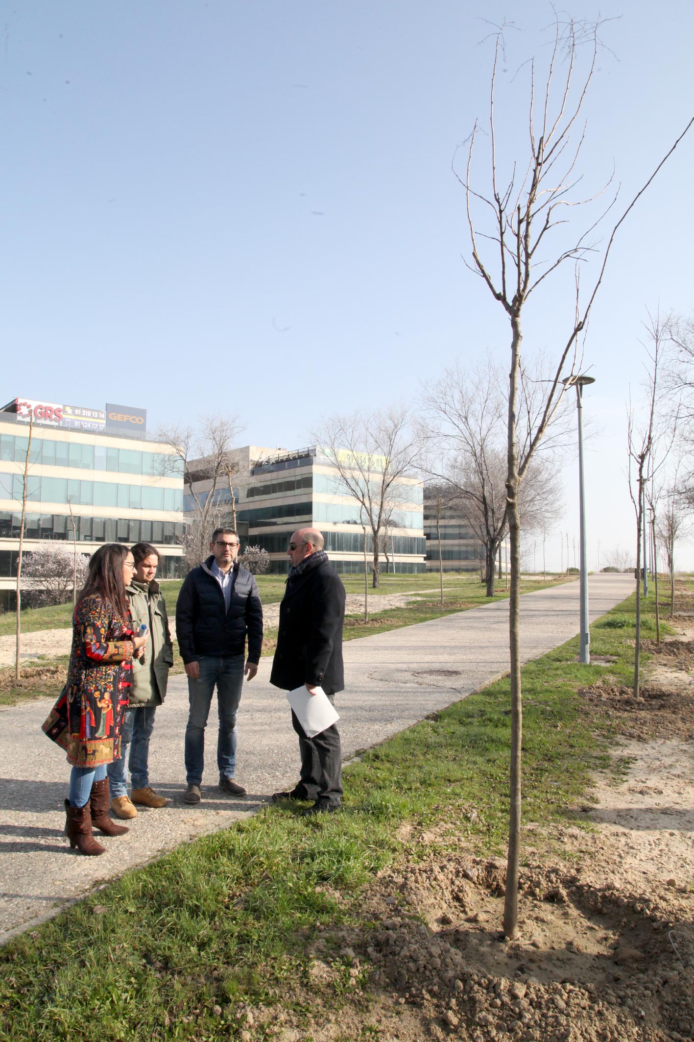 Alcobendas planta 347 árboles para crear un corredor verde paralelo a la A-1 Alcobendas planta 347 árboles para crear un corredor verde paralelo a la A-1
