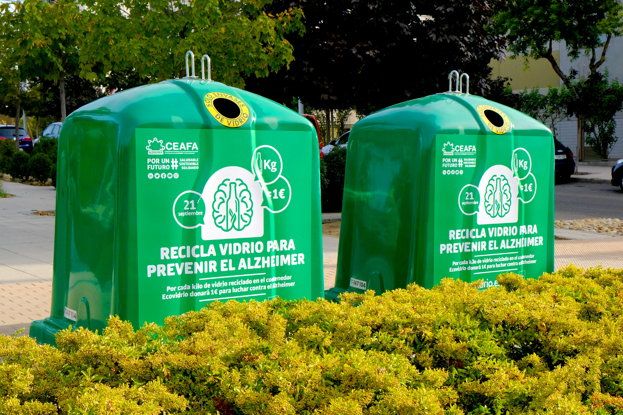 San Sebastián de los Reyes y Alcobendas se unen a la campaña solidaria de Ecovidrio para luchar contra el Alzheimer San Sebastián de los Reyes y Alcobendas se unen a la campaña solidaria de Ecovidrio para luchar contra el Alzheimer