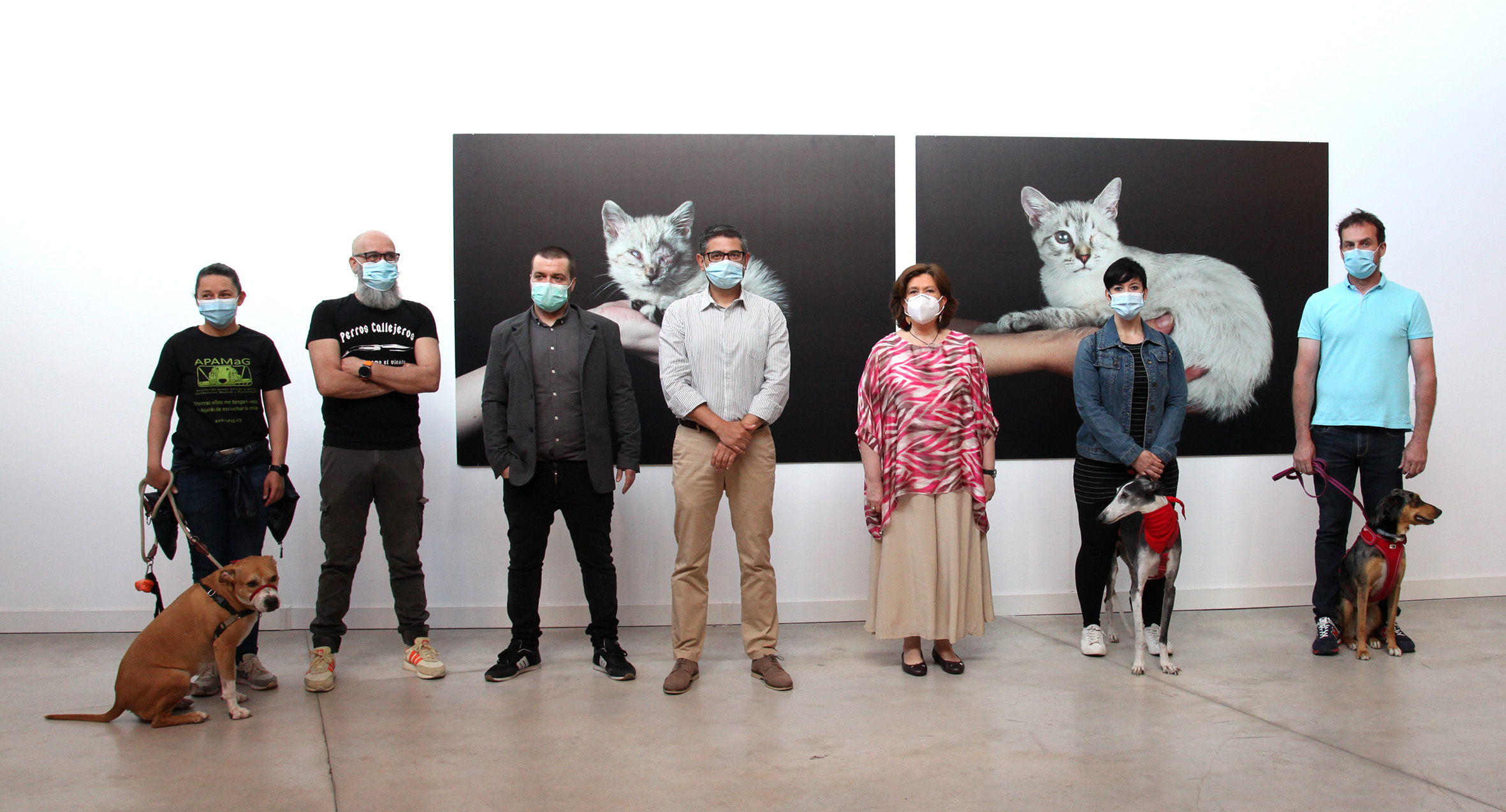 Invisibles de Andrés López: Fotografías e historias de abandono animal, maltrato, dolor y también de esperanza Invisibles de Andrés López: Fotografías e historias de abandono animal, maltrato, dolor y también de esperanza