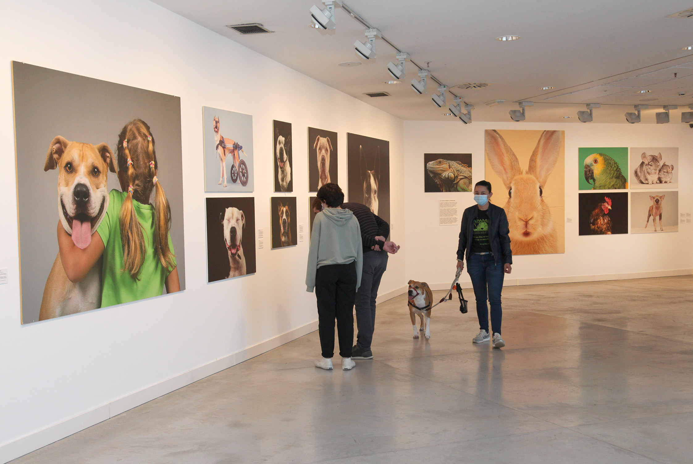 Invisibles de Andrés López: Fotografías e historias de abandono animal, maltrato, dolor y también de esperanza Invisibles de Andrés López: Fotografías e historias de abandono animal, maltrato, dolor y también de esperanza