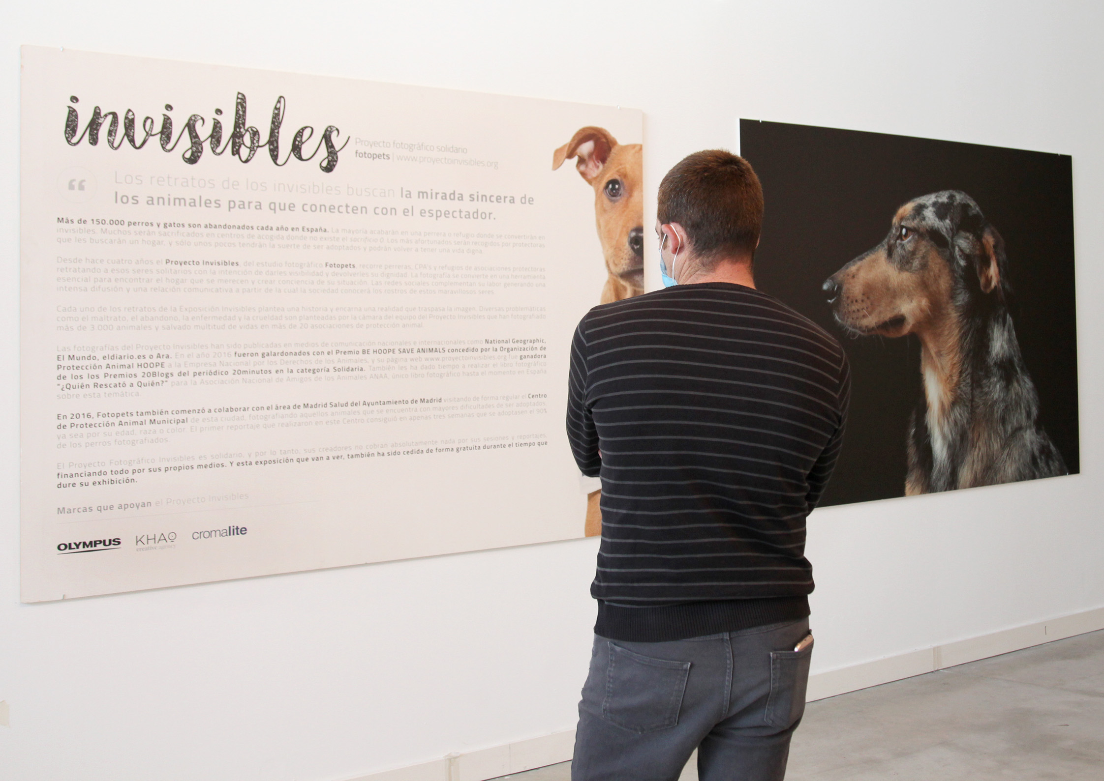 Invisibles de Andrés López: Fotografías e historias de abandono animal, maltrato, dolor y también de esperanza Invisibles de Andrés López: Fotografías e historias de abandono animal, maltrato, dolor y también de esperanza