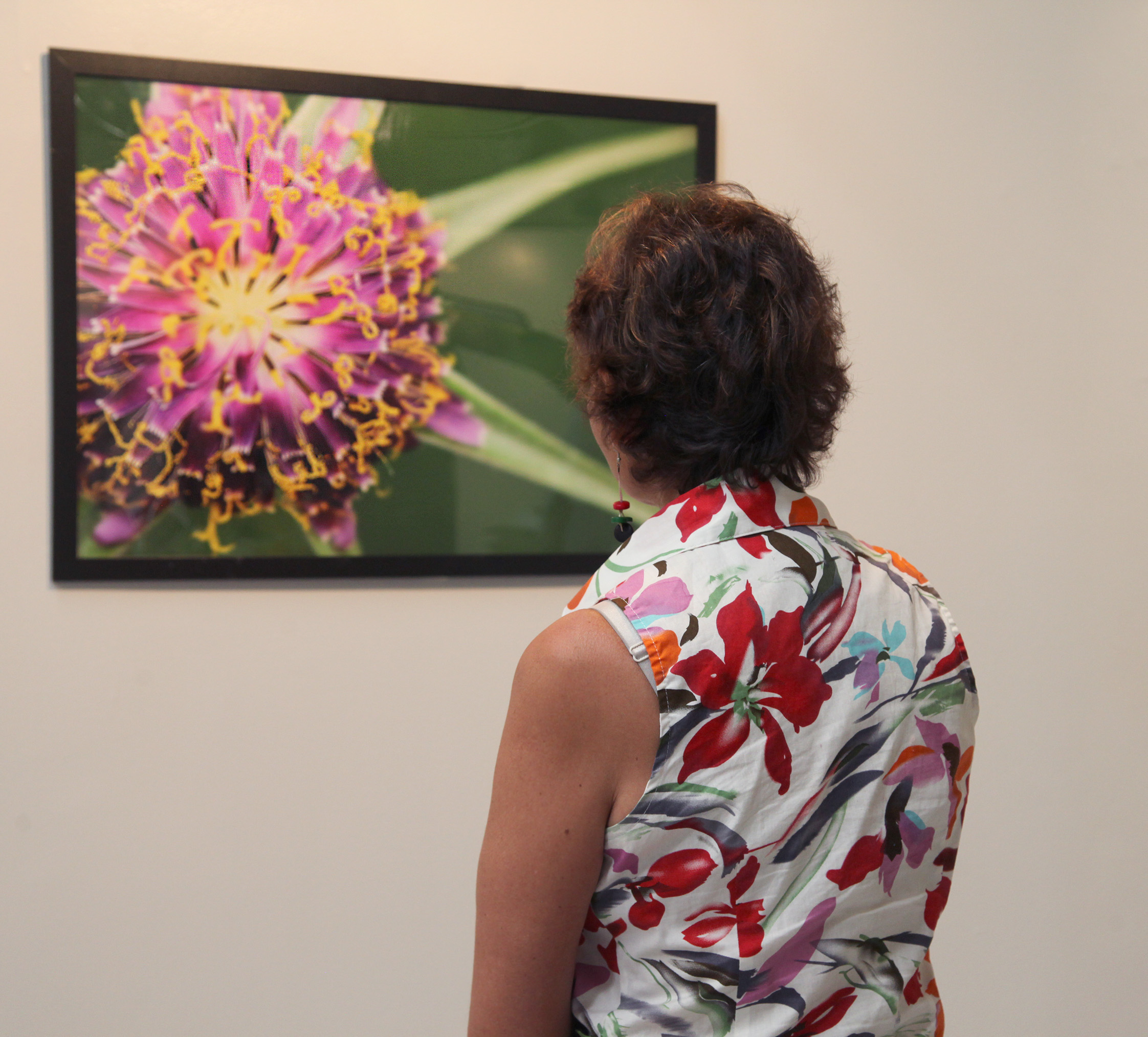'El verde': Nueva exposición fotográfica en patio de encuentros del Ayuntamiento 'El verde': Nueva exposición fotográfica en patio de encuentros del Ayuntamiento