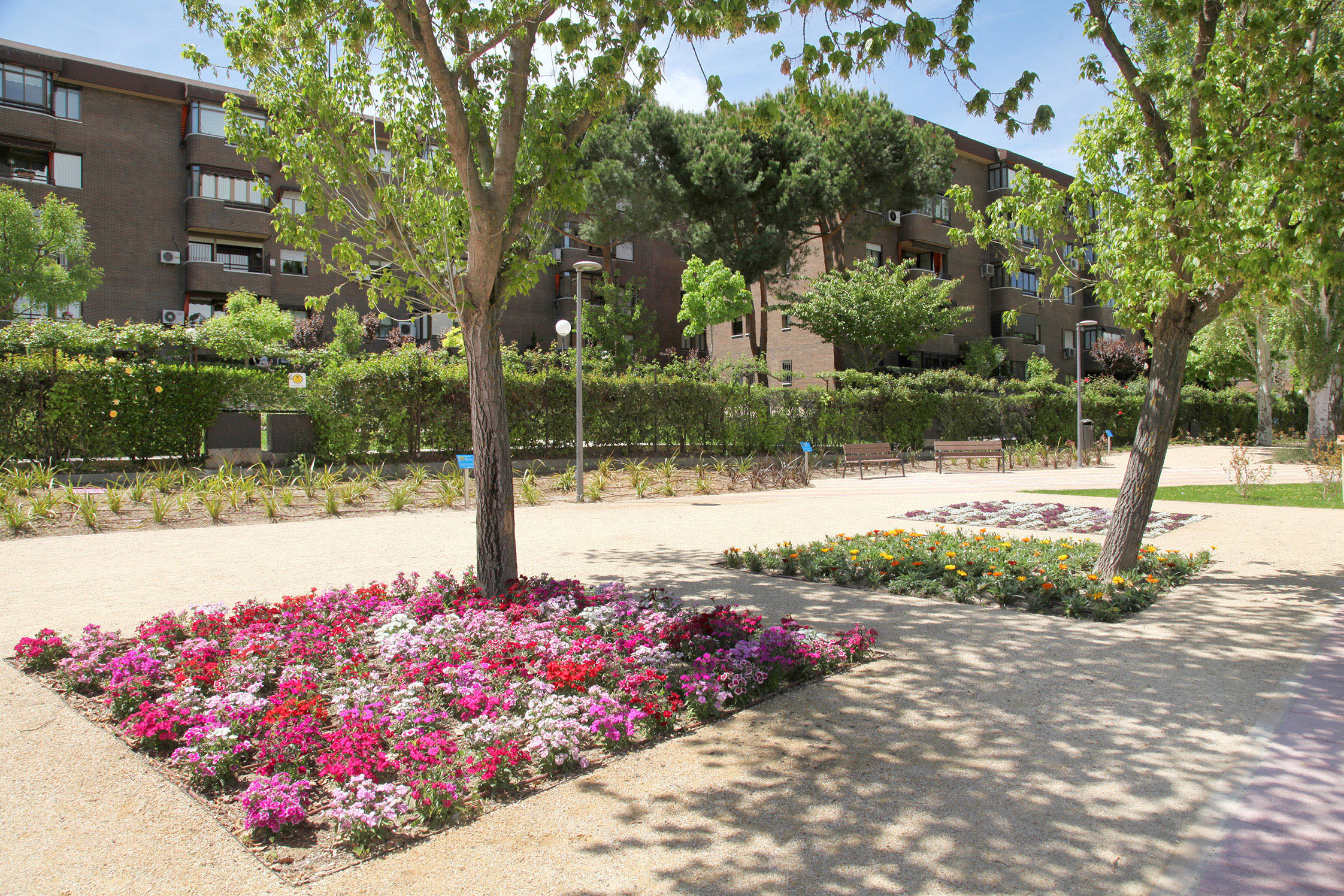 El nuevo Parque Canarias, un espacio público de integración e innovador El nuevo Parque Canarias, un espacio público de integración e innovador