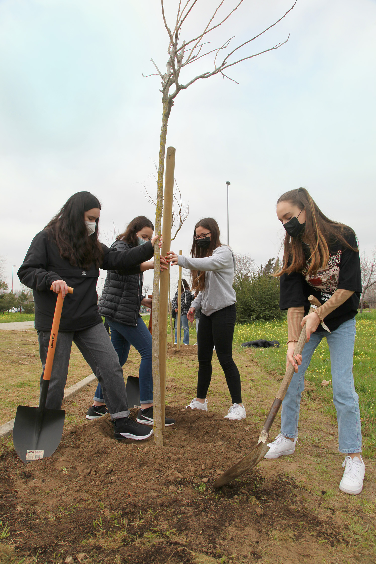 'Un árbol por tu futuro' avanza: alumnos del Giner han plantado hoy 20 ejemplares 'Un árbol por tu futuro' avanza: alumnos del Giner han plantado hoy 20 ejemplares