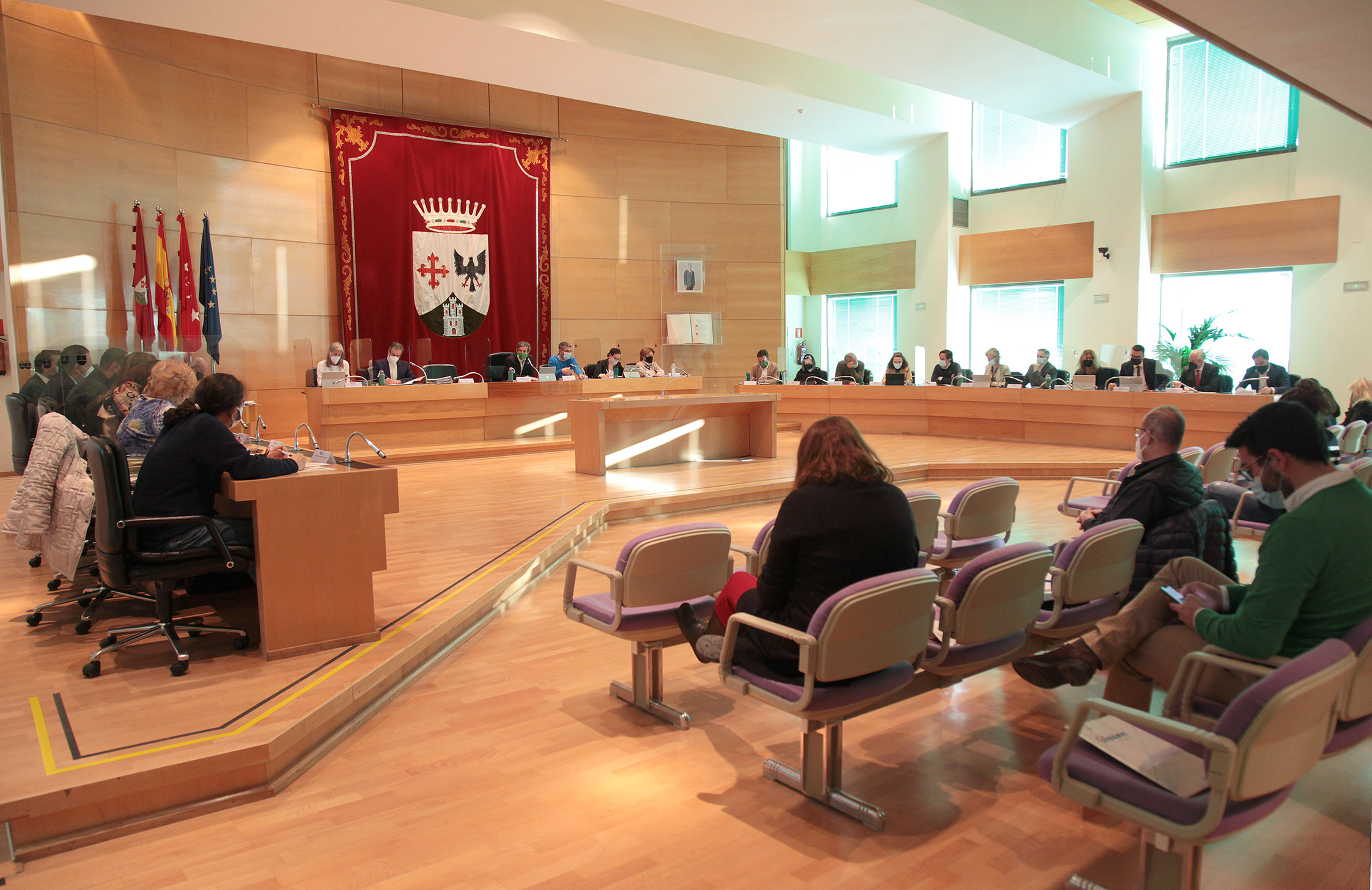 Pleno enero 2022