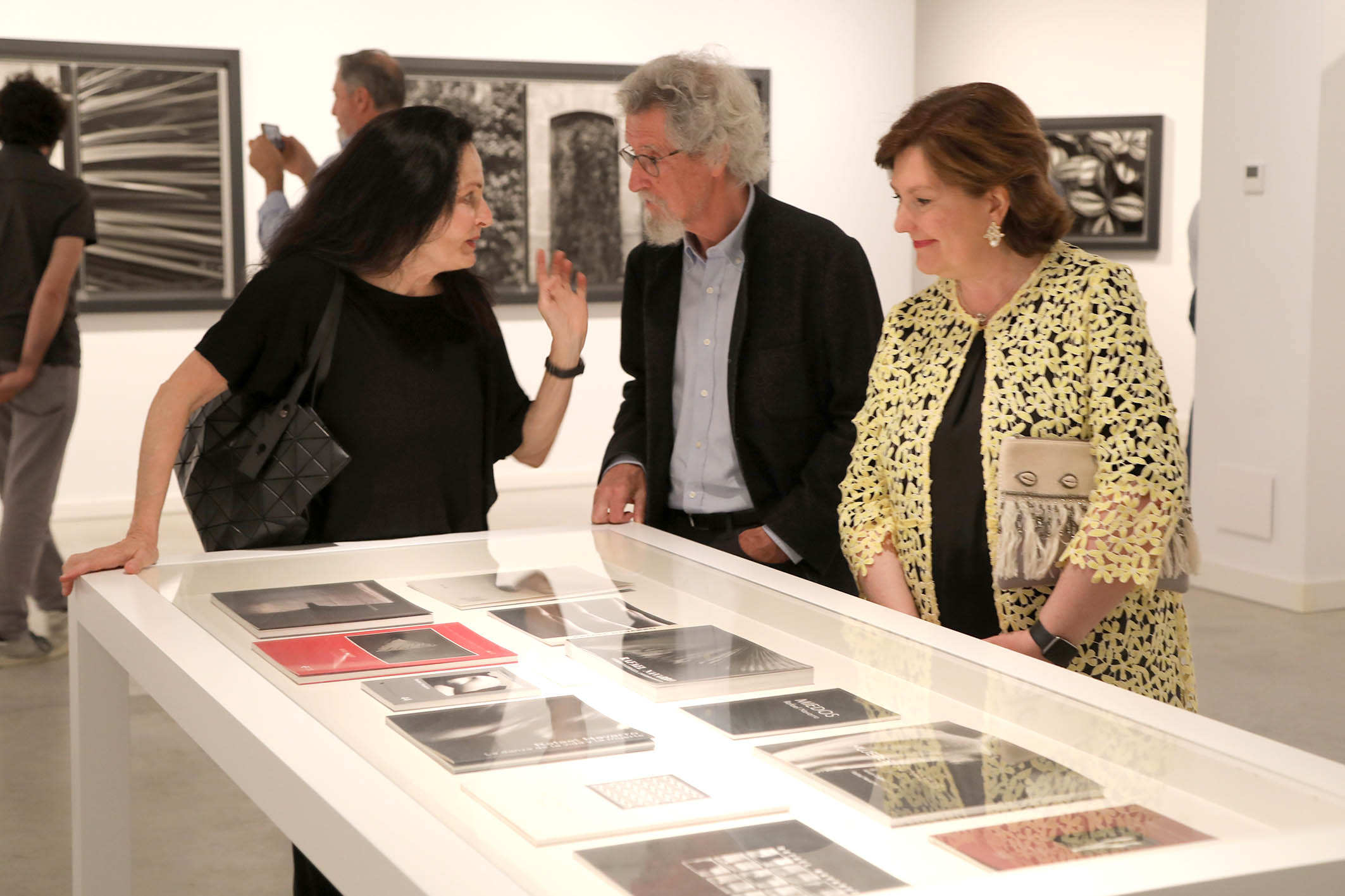 Exposición Rafael Navarro