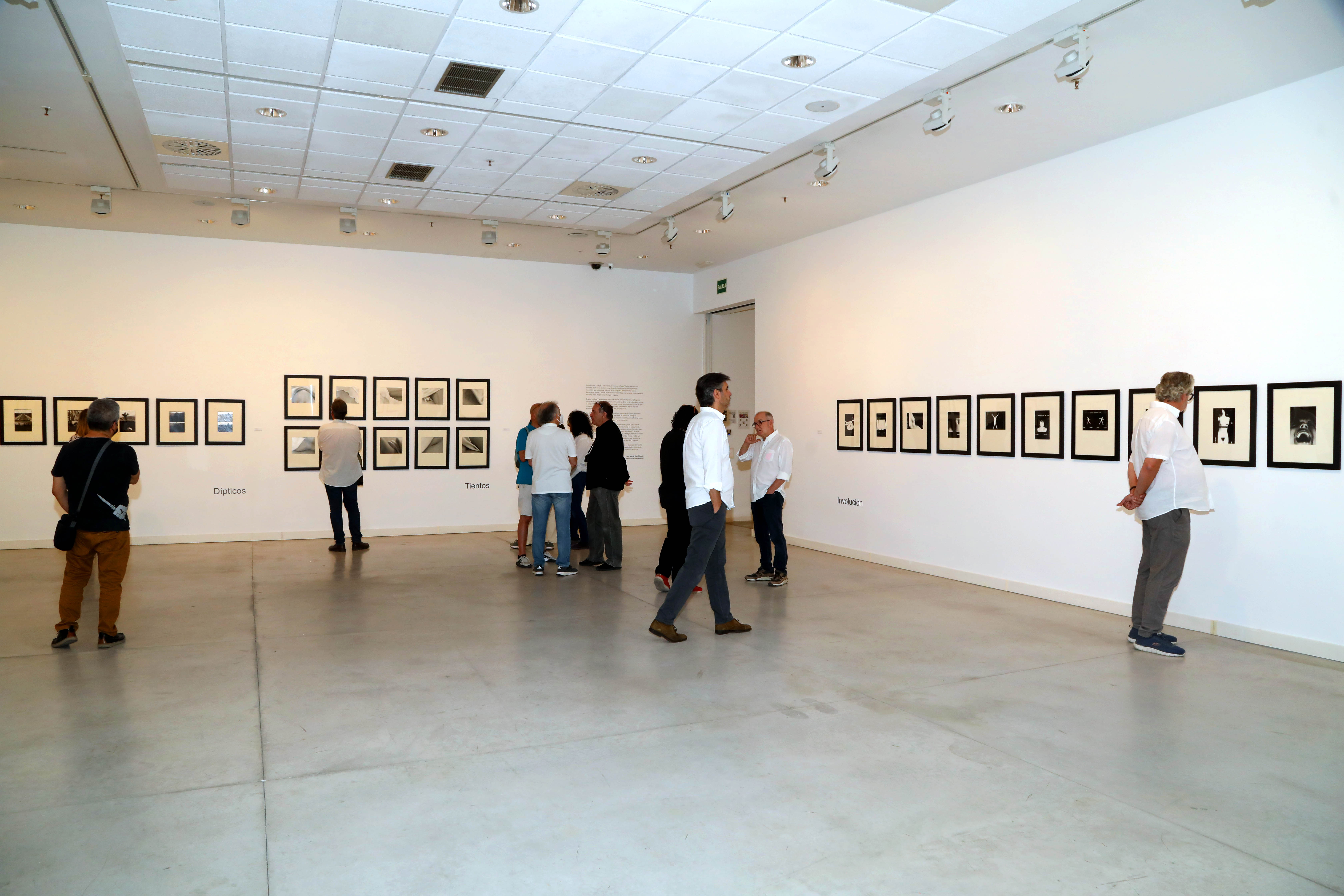 Exposición Rafael Navarro