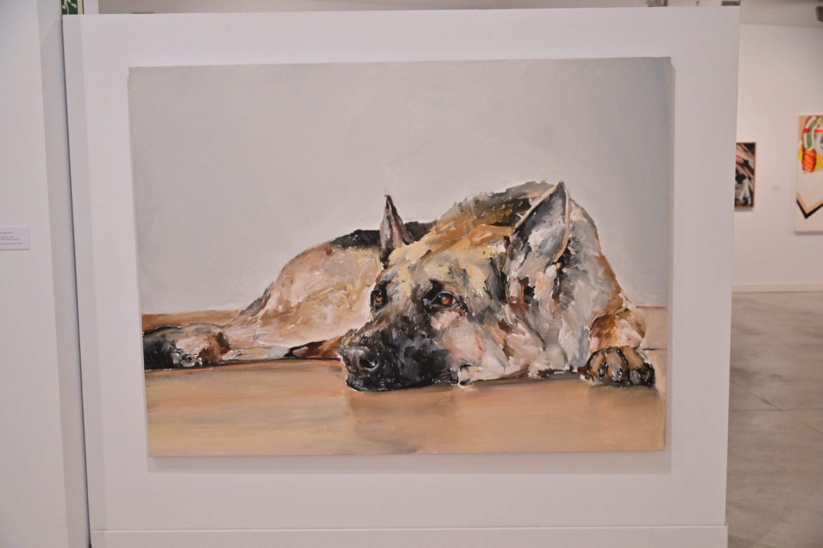 Exposición Coincidencias imagen de un perro
