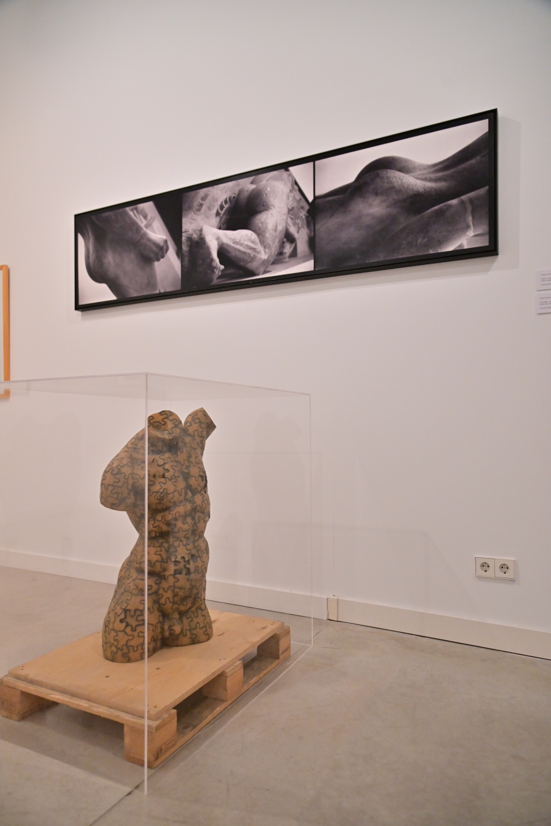 Exposición Coincidencias escultura y foto de torso