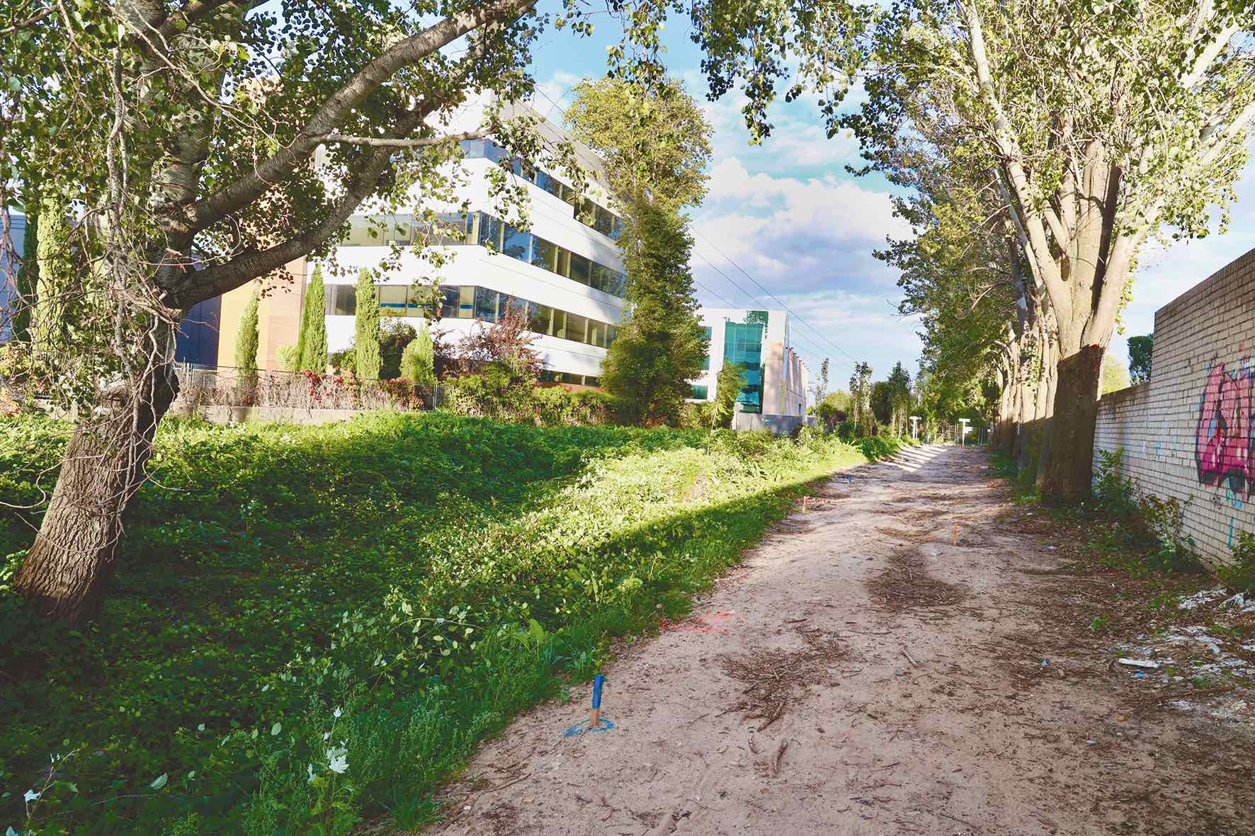 Se creará un corredor verde entre el Distrito Centro y el monte de Valdelatas.
