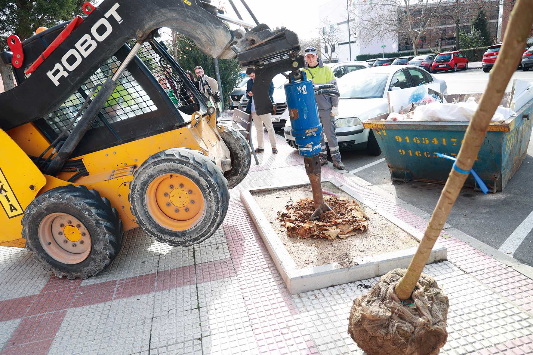 Ningún alcorque en la ciudad sin un árbol
