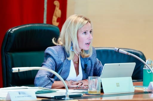 Pleno 26 de septiembre