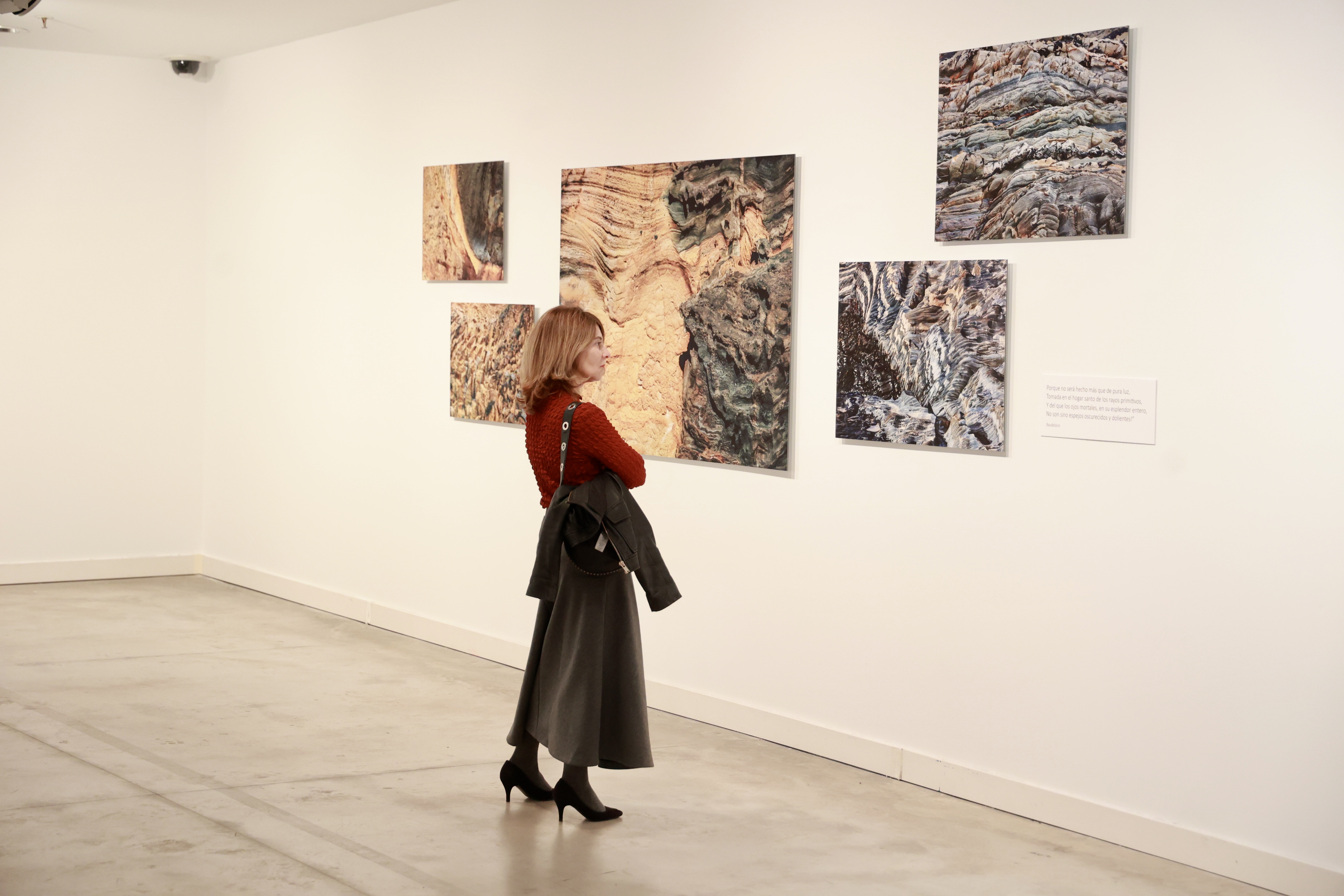 Inauguración de la exposición 'Tierra revelada'