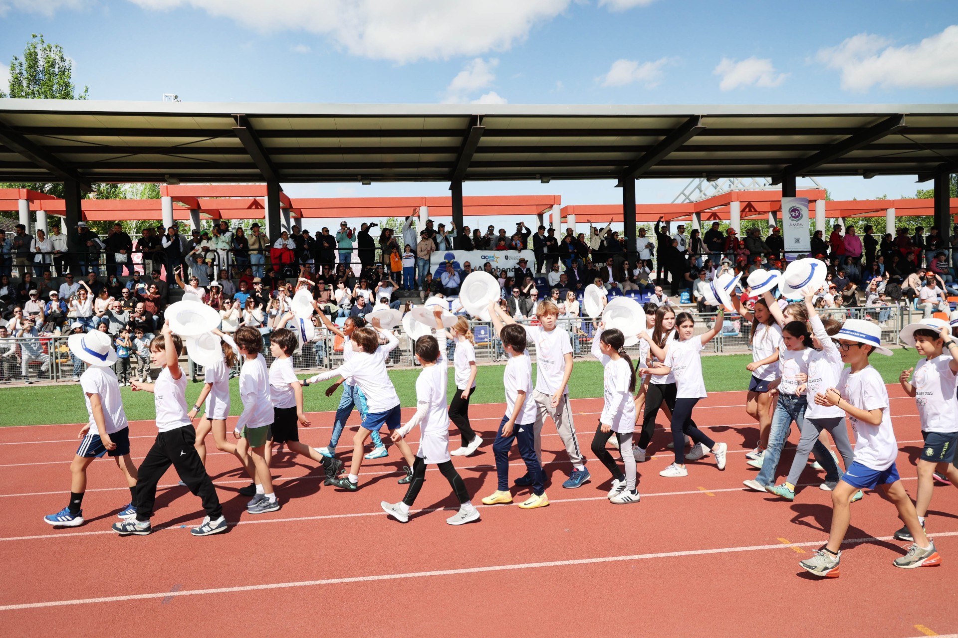 Olimpiada Escolar