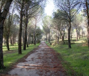 Monte de Valdelatas