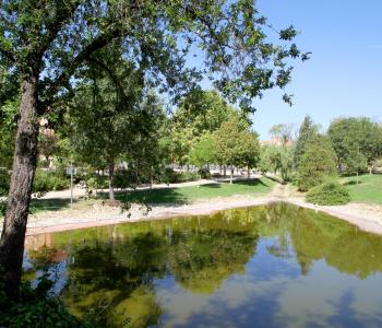 Parque de Castilla-La Mancha