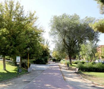 Parque de la universidad