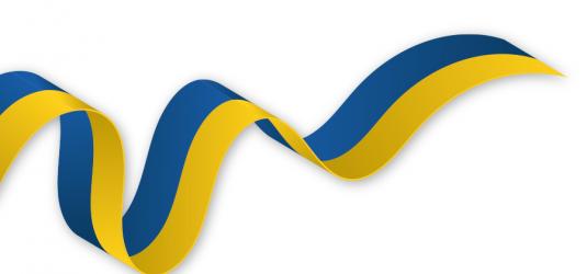 Bandera Ucrania 1