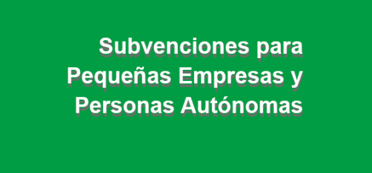 Subvenciones autónomos y pequeñas empresas