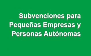 Subvenciones autónomos y pequeñas empresas