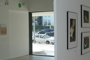 Espacio expositivo Valdelasfuentes
