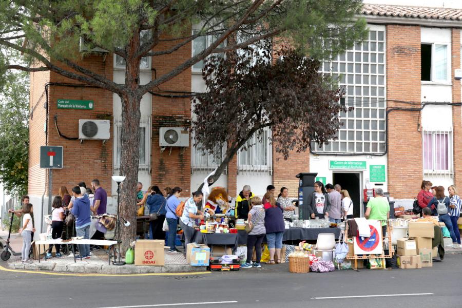 Vista general del rastrillo - 2019