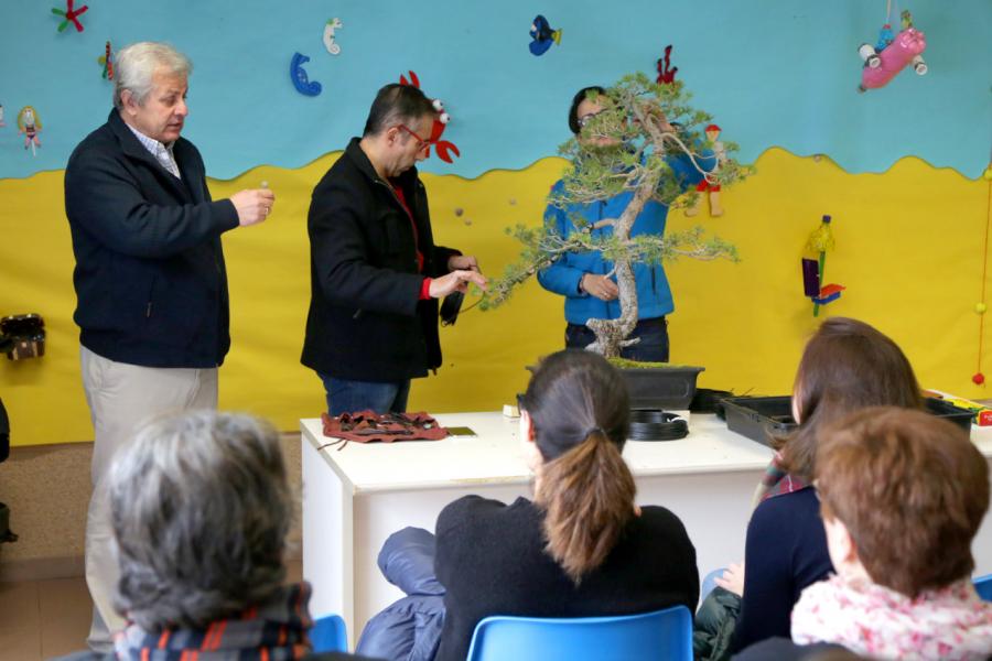 Demostración de Bonsai en el Aula de la Naturaleza 29/01/2017 - Los profesionales enseñando.