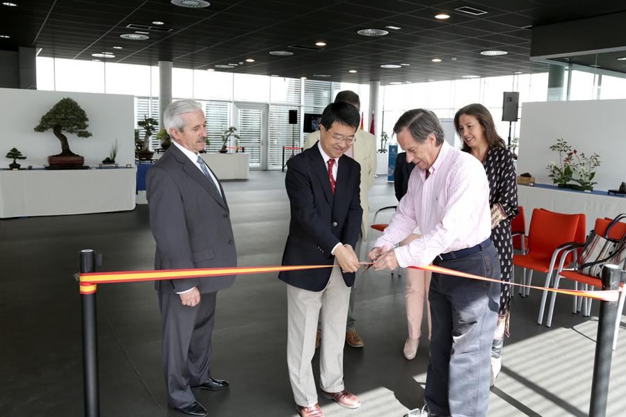 Inauguración Exposición de Bonsais y Suiseki en Espacio Miguel Delibes - El alcalde García de Vinuesa cortando la cinta de inauguración de la exposición.