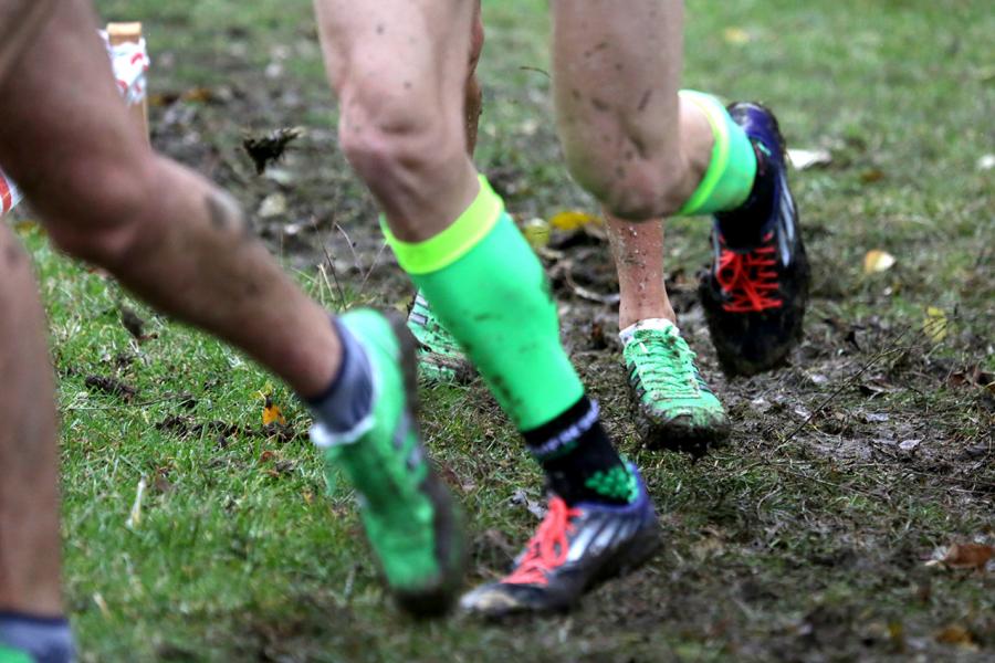 Cross de la Constitución 2016 -  Las pisadas de los corredores.