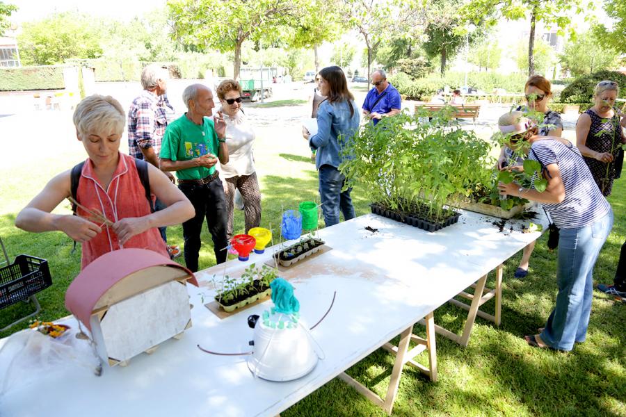 Día del Medio Ambiente y Actividades de Mayores en el Arroyo de la Vega - Imagen de gente repartiendo plantas para celebrar el Día del Medio Ambiente.