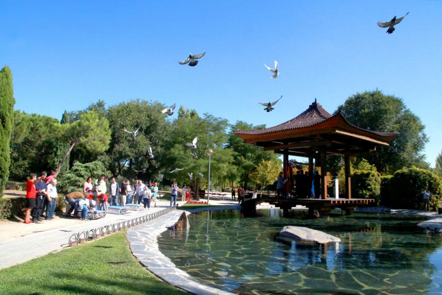 Día de la Paz 2016 -  Sueltan las palomas. 