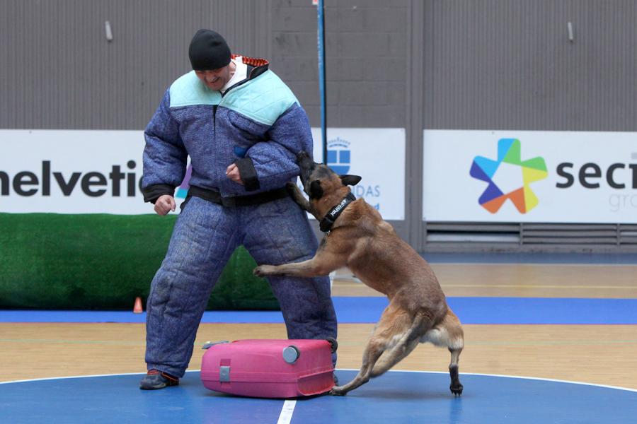 Iª Exhibición de la Unidad Canina de la Policía Local - Imagen de un momento de la exhibición.