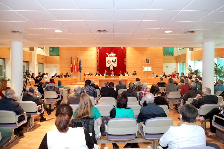 Sesión plenaria vista desde el fondo del salón de plenos