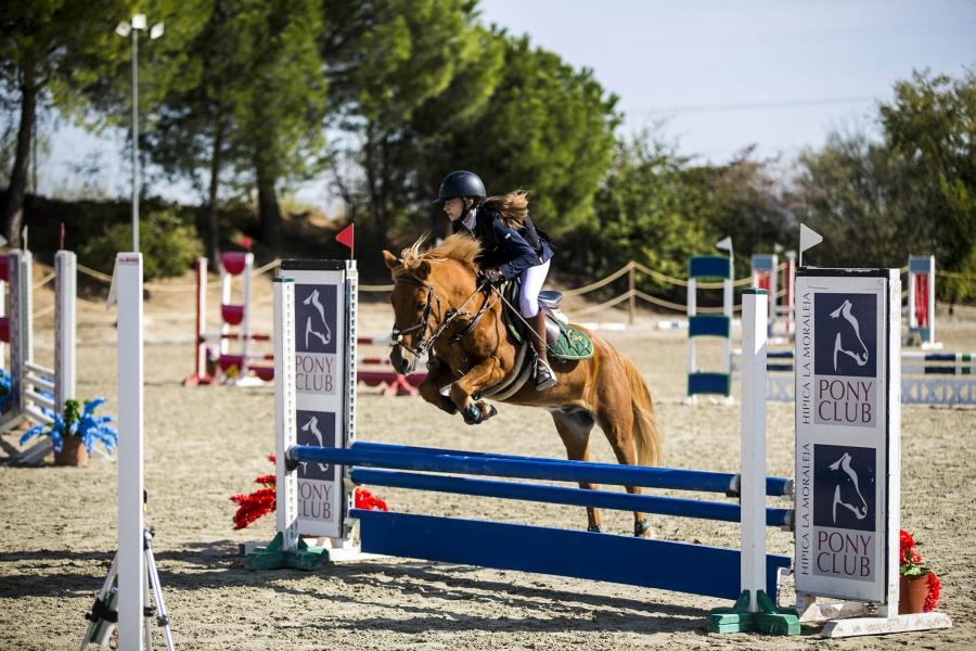  Jinete participante. Salto de obstáculo. Concurso Nacional de Salto de Ponys - 2020