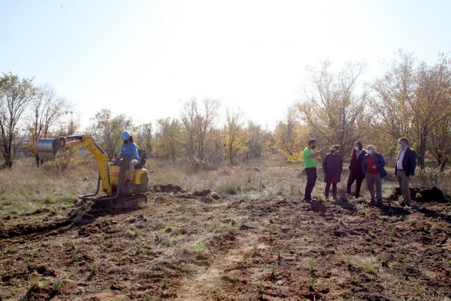 Plantación de Arboles Proyecto DIGI .