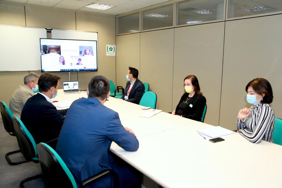 Asistentes en video conferencia