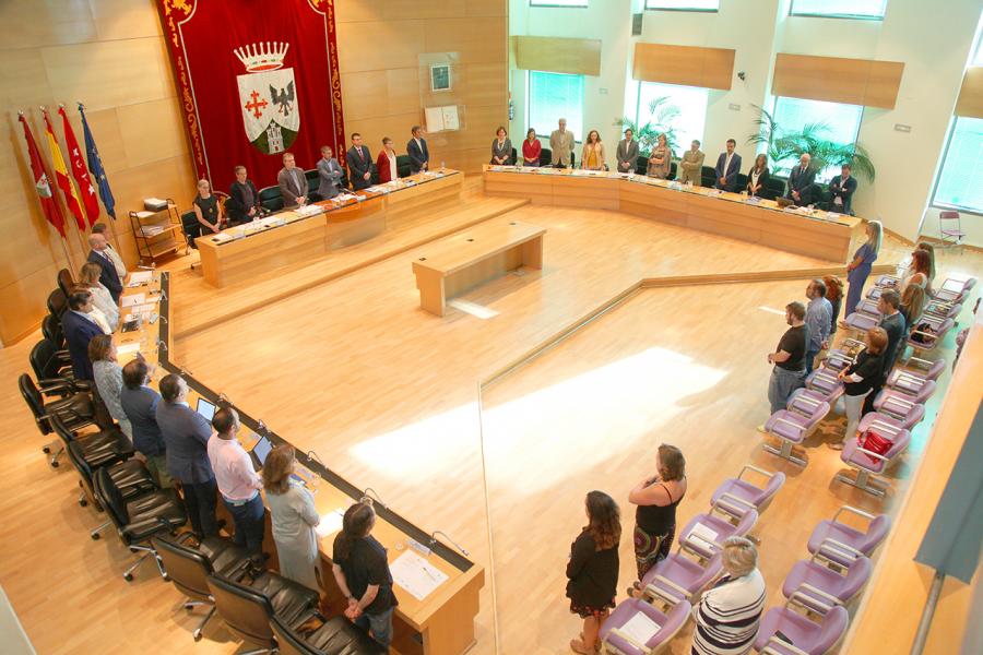 Vista cenital del salón de plenos con concejales en pie