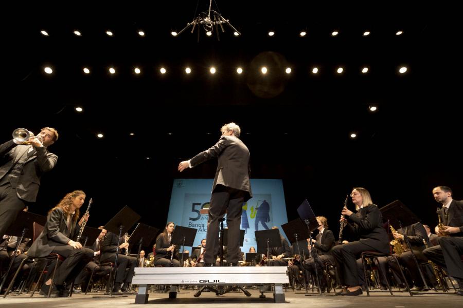 Concierto 50º Aniversario de la Banda Municipal de Música -  Imagen general de  la orquesta.