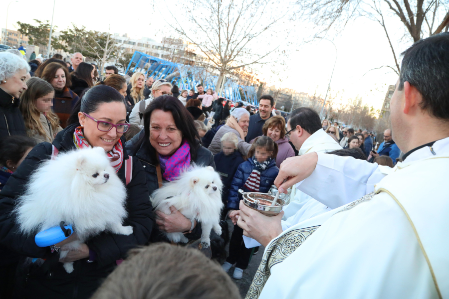 Fiesta de San Antón 2025, bendición de animales