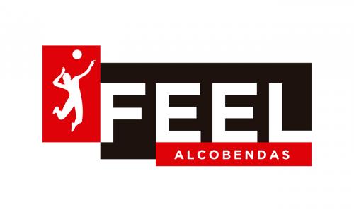 Logo Voleibol