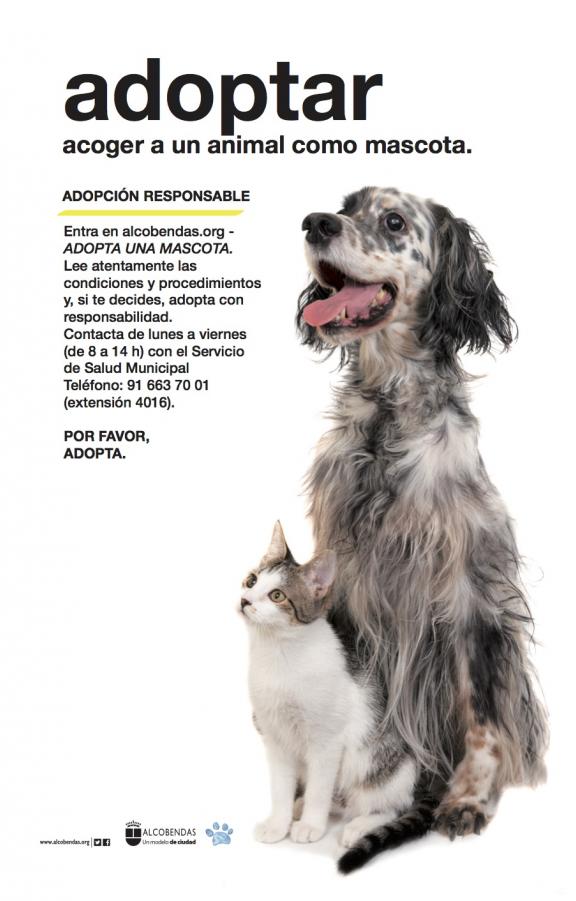 CONTRA-adoptar.jpg