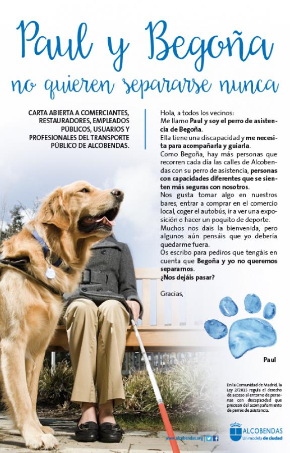 perros17.jpg