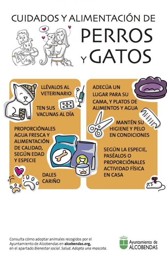 Cuidados y alimentación de perros y gatos.