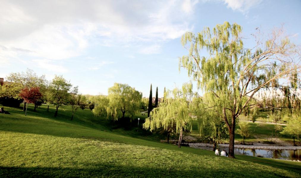 Relación de parques de Alcobendas donde se podrá pasear con niñas y niños menores de 14 años a partir de mañana, 26 de abril Relación de parques de Alcobendas donde se podrá pasear con niñas y niños menores de 14 años a partir de mañana, 26 de abril