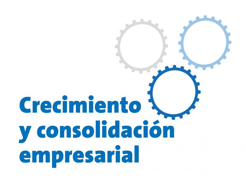 Programa municipal ‘Crecimiento y Consolidación Empresarial’ Programa municipal ‘Crecimiento y Consolidación Empresarial’