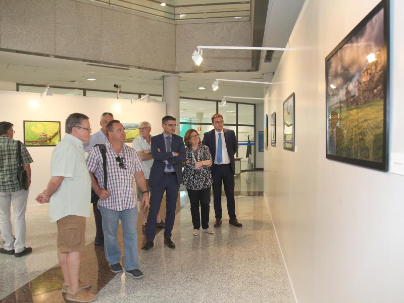 'El verde': Nueva exposición fotográfica en patio de encuentros del Ayuntamiento 'El verde': Nueva exposición fotográfica en patio de encuentros del Ayuntamiento