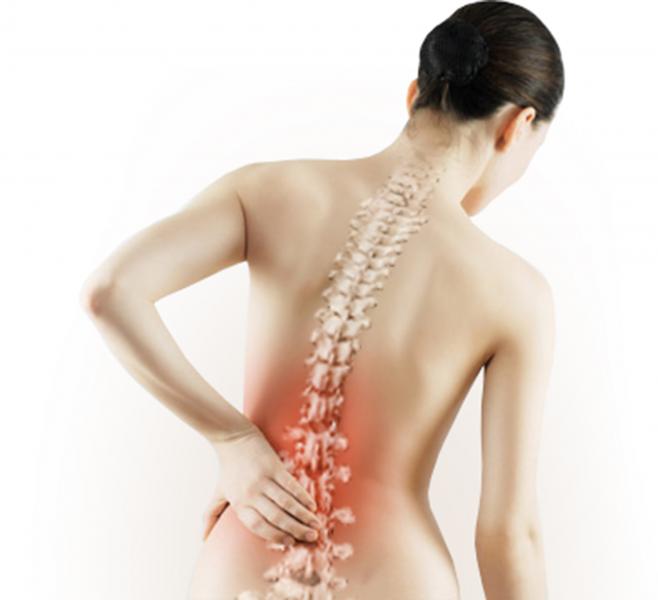 Curso para prevenir la osteoporosis y tener huesos fuertes y sanos Curso para prevenir la osteoporosis y tener huesos fuertes y sanos