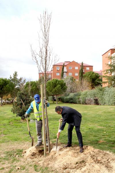 Alcobendas se suma a la campaña 'Un árbol por Europa' Alcobendas se suma a la campaña 'Un árbol por Europa'