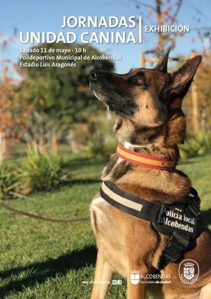 Perros policía de toda España participan en la exhibición que cierra en Alcobendas las Jornadas 'Unidad Canina' Perros policía de toda España participan en la exhibición que cierra en Alcobendas las Jornadas 'Unidad Canina'