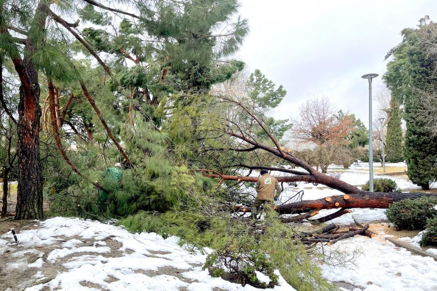 La nevada ocasiona en las infraestructuras de Alcobendas daños por valor de 5,4 millones de euros La nevada ocasiona en las infraestructuras de Alcobendas daños por valor de 5,4 millones de euros